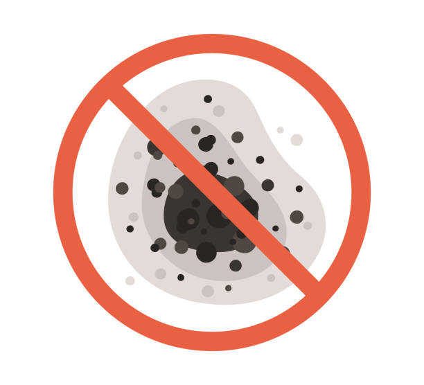 Best Dehumidification Services  in Palo, IA