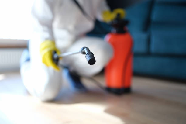 Best Real Estate Mold Inspection  in Palo, IA