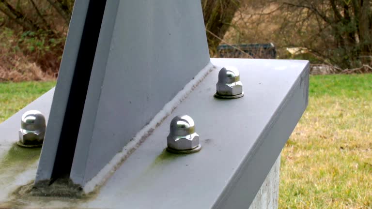 Environmental Consulting for Mold Prevention in Palo, IA